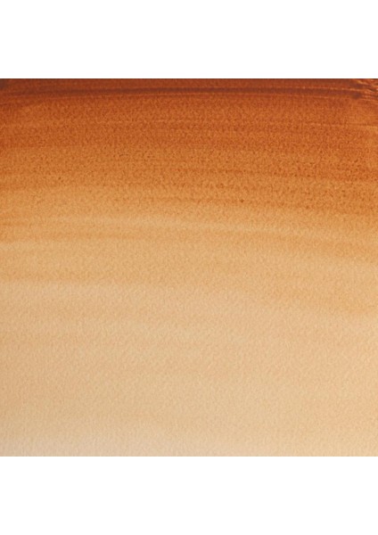 : Professional Tam Tablet Suluboya : Brown Ochre 059 S.1 modelleri