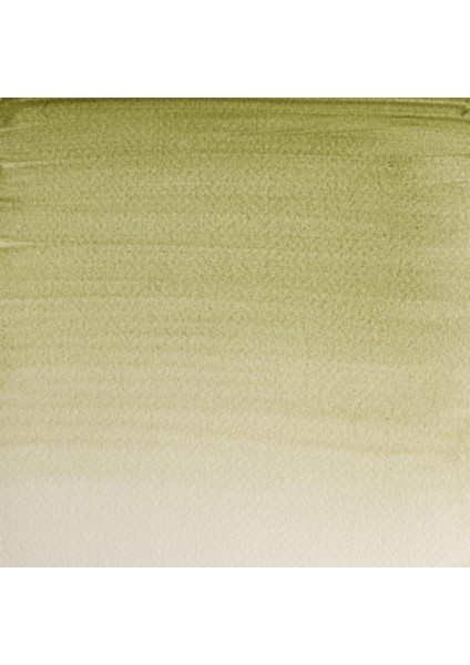 : Professional Tam Tablet Suluboya : Terre Verte (Yellow Shade) 638 S.1 fiyatları