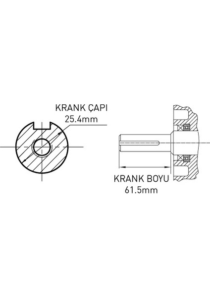 Kama By Reis KDK195F Dizel Motor