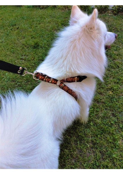 Köpek göğüs tasması orta ırk kaplan desenli kolon göğüs ölçüsü:50-85cm ayarlamalı dog harness GT4-2