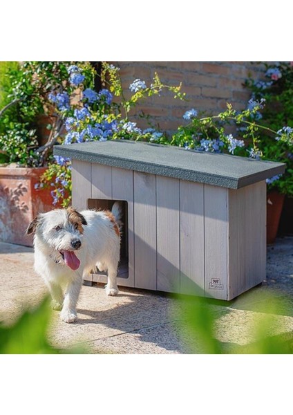 Argo 50 Ahşap Köpek Kulübesi modelleri