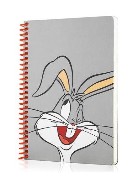 Buggs Bunny + Tweety + Tom ve Jerry Butik Defter Seti 1 Kareli 2 Çizgili