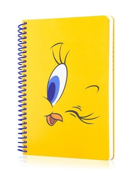 Buggs Bunny + Tweety + Tom ve Jerry Butik Defter Seti 1 Kareli 2 Çizgili