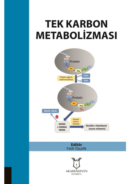Tek Karbon Metobolizması