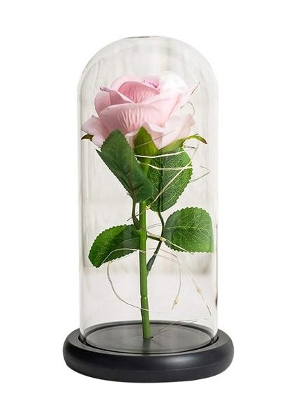 Jeqckloves Güller ve Sıcak LED Işıkları Konteyner Hediye Romantik Sevgililer Günü Düğün Yıldönümü ve Günlük Yaşam Dekorasyon (Pembe Gül + Sıcak L (Yurt Dışından)
