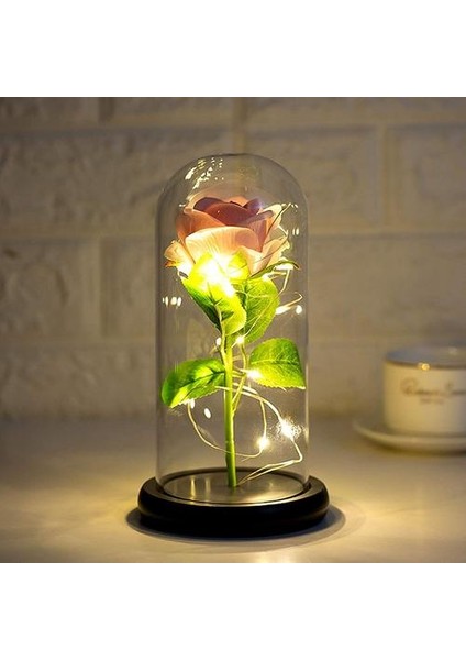Jeqckloves Güller ve Sıcak LED Işıkları Konteyner Hediye Romantik Sevgililer Günü Düğün Yıldönümü ve Günlük Yaşam Dekorasyon (Pembe Gül + Sıcak L (Yurt Dışından)