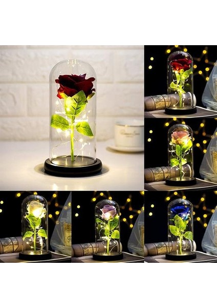 Jeqckloves Güller ve Sıcak LED Işıkları Konteyner Hediye Romantik Sevgililer Günü Düğün Yıldönümü ve Günlük Yaşam Dekorasyon (Pembe Gül + Sıcak L (Yurt Dışından)