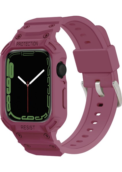 Apple Watch 7 45MM / 6 & Se & 5 & 4 44MM / 3 & 2 ve 1 42MM (Erik) Için Kayış