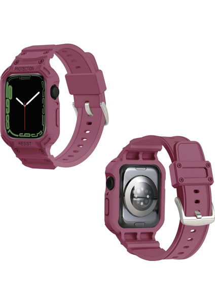 Apple Watch 7 45MM / 6 & Se & 5 & 4 44MM / 3 & 2 ve 1 42MM (Erik) Için Kayış