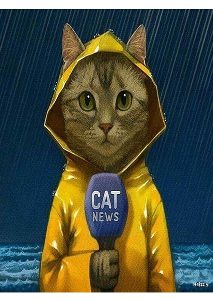 Meterolojist Kedi Sayılarla Boyama Seti 40X50 cm Tuvale Gerili