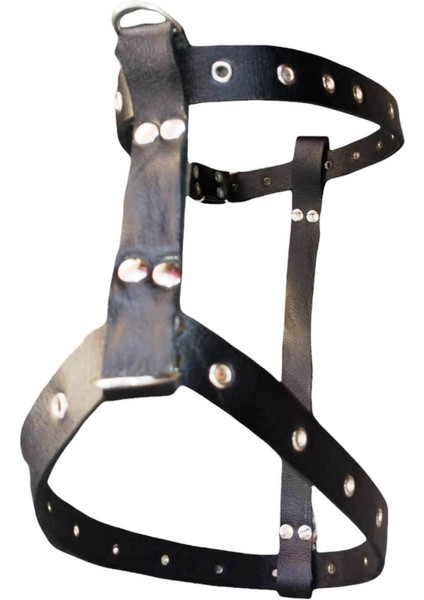 köpek göğüs tasması hakiki deri orta ırk siyah kalınlık:4mm genişlik:3cm göğüs ölçüsü:50-70cm ayarlamalı dog harness GT1-5
