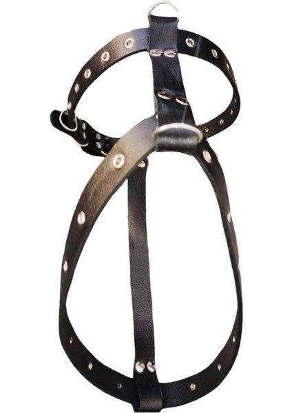 köpek göğüs tasması hakiki deri orta ırk siyah kalınlık:4mm genişlik:3cm göğüs ölçüsü:50-70cm ayarlamalı dog harness GT1-5