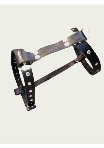 köpek göğüs tasması hakiki deri orta ırk siyah kalınlık:4mm genişlik:3cm göğüs ölçüsü:50-70cm ayarlamalı dog harness GT1-5
