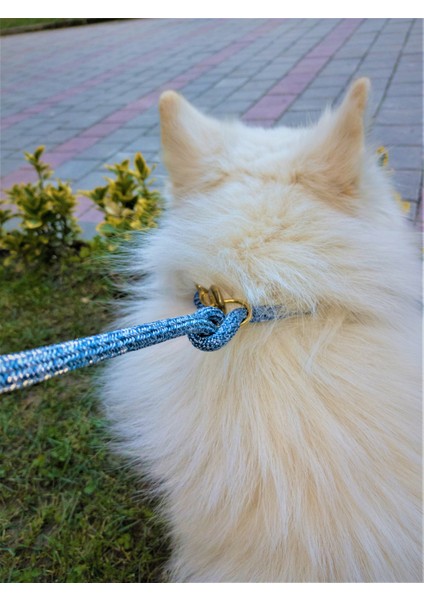 Köpek gezdirme kayışı boyun tasmalı orta ve büyük ırk metal kalın kancalı halat kalınlık:10mm gezdirme kayışı:120cm tasma : ayarlamalı dog leash TB5-17 indirimleri