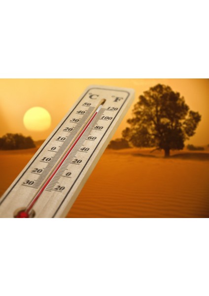 Ahşap Oda Sıcaklığı Sıcaklık Ölçümü Termometresi Küçük Boy