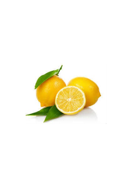 Limon Bonesi / 100 Adet / Bitki Çayı Bonesi