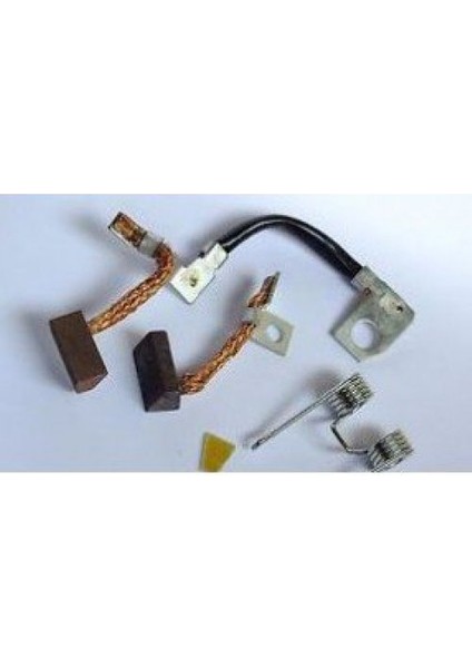 Kömür Takımı D6RA133 R19 - Megane Ym (594366)