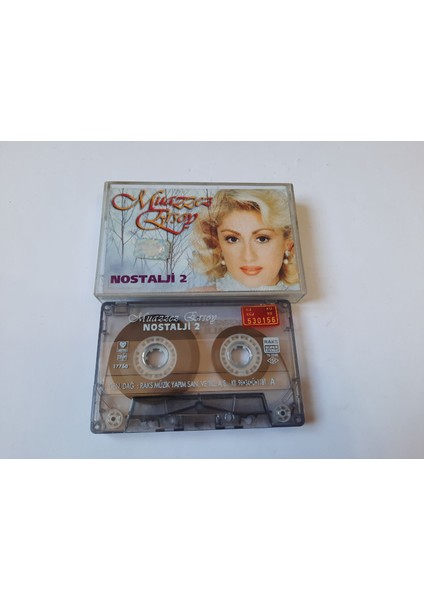 Muazzez Ersoy Nostalji 2 Cam Baskı