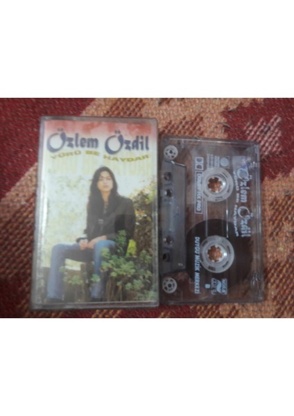 Özlem Özdil Yürü Be Haydar Cam Baskı