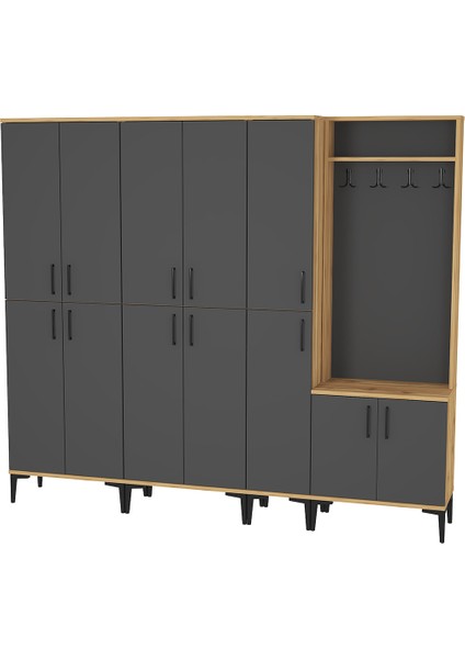 Rose-1-3-4-4 Portmanto Vestiyer Ayakkabılık RS06 fiyatları