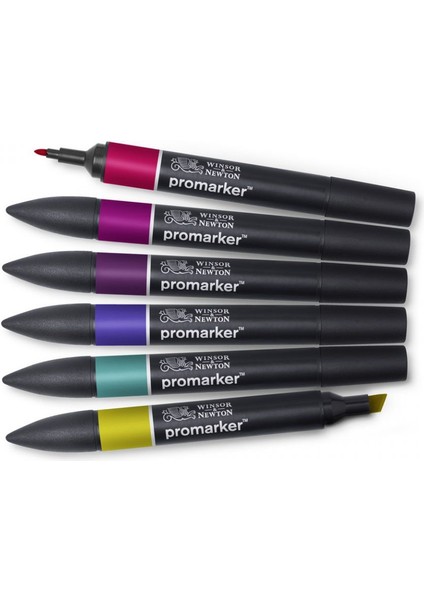 : Promarker Zengin Tonlar Seti : 6 Renk