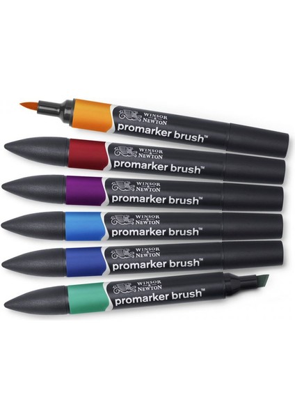 : Promarker Brush Zengin Tonlar Seti : 6 Renk