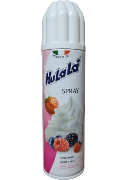 Spray Krem Şanti 250G