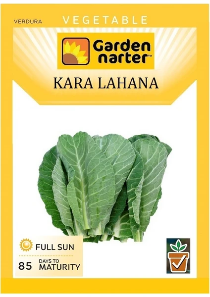 Garden Narter Kara Lahana Tohumu Doğal Organik Tohum Pakette 5 gr Tohum + Sebze Tohum