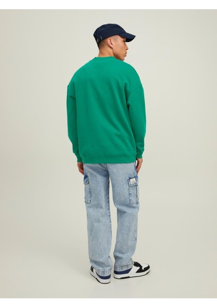 Erkek Sweatshirt Jorbrink City Sweat Crew Neck 12216048 modelleri