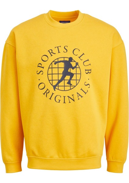 Erkek Sweatshirt Jorbrink City Sweat Crew Neck 12216048