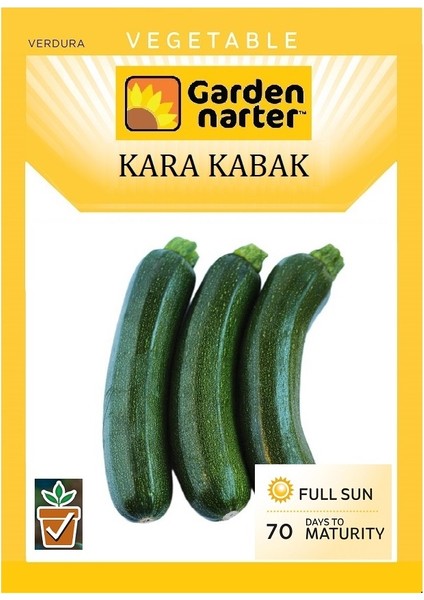 Kara Kabak Tohumu Doğal Organik Tohum Pakette 10 Gr 50 Tohum