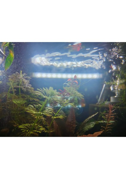 Aquaslim Serisi - 20 cm Beyaz Akvaryum LED Lamba - Aydınlatma