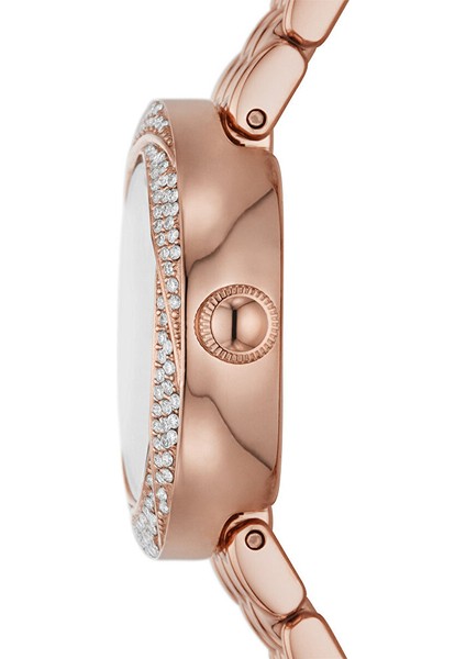 AR11474 Kadın Kol Saati fiyatları