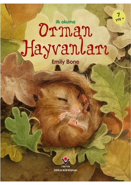 İlk Okuma - Orman Hayvanları +7 Yaş - Emily Bone