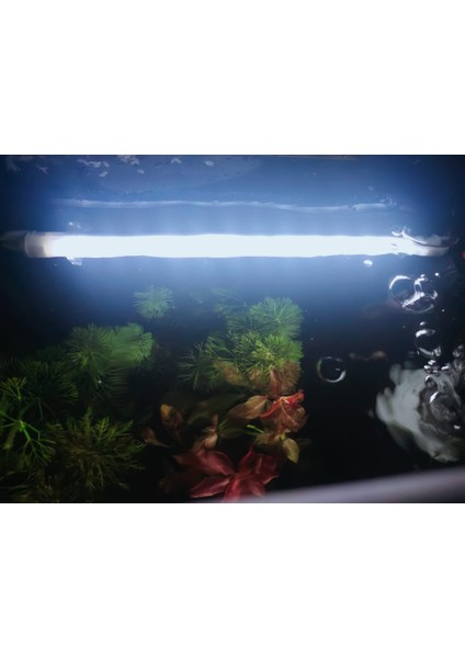 Aquaslim Serisi - 80 cm Beyaz Akvaryum LED Lamba - Aydınlatma modelleri