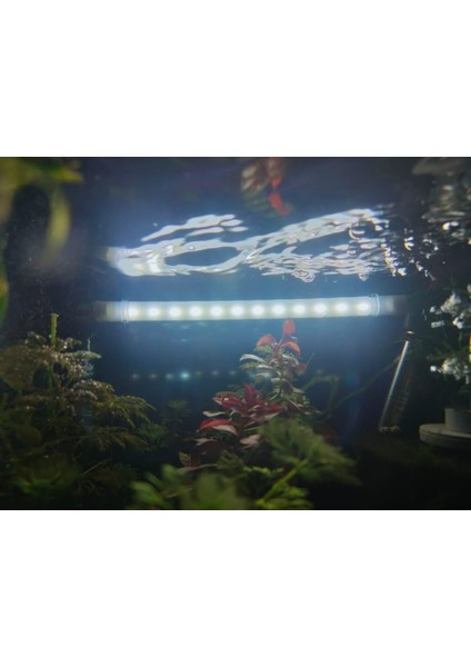 Aquaslim Serisi - 60 cm Beyaz Akvaryum LED Lamba - Aydınlatma