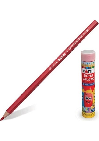 Teneke Kuru Boya 12LI