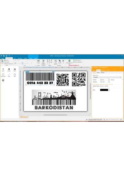 Profesyonel Etiket Barkod Tasarım Programı Versiyon 3 (Zebra Designer Pro V3)