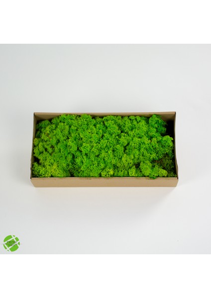 Trend Bahçe Reindeer Moss Spring Green Şoklanmış Norveç Yosunu