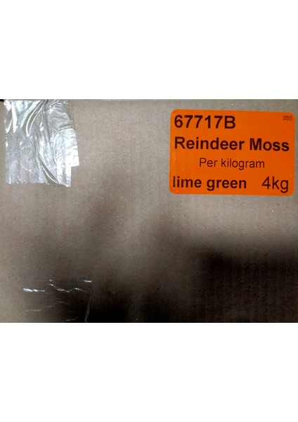 Trend Bahçe Reindeer Moss Lime Green Şoklanmış Norveç Yosunu 4 kg