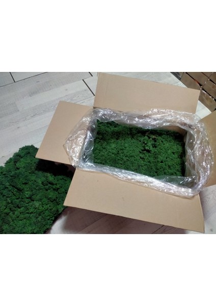 Trend Bahçe Reindeer Moss Dark Green Şoklanmış Norveç Yosunu 4 kg