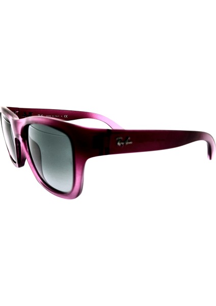Rayban 4194 6029/71 53-17 Unisex Güneş Gözlüğü fiyatları