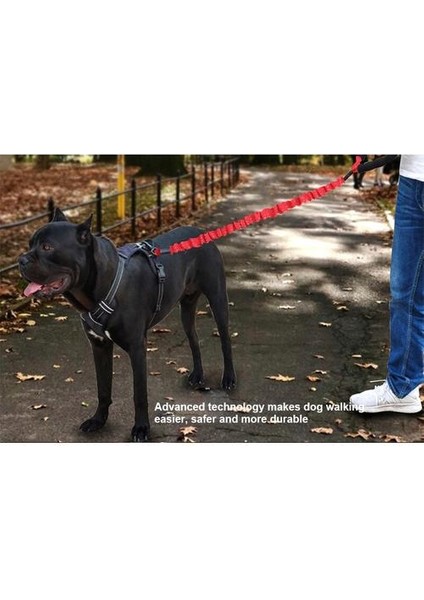 Köpek Çekiş Halat Köpek Halat Köpek Yaka Orta ve Büyük Köpek Yüksek Elastik Patlamaya Dayanıklı Büyük Köpek Yün Elastik Halat Köpek Tasma | Tasmalar (Yurt Dışından)