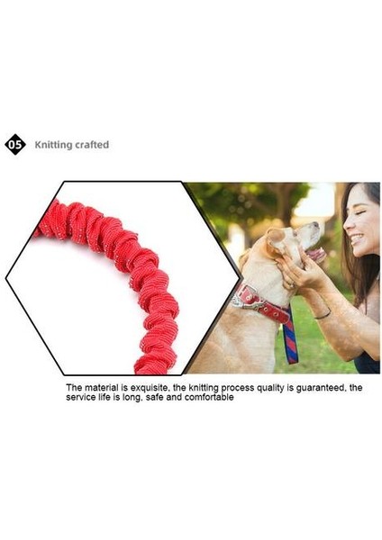 Köpek Çekiş Halat Köpek Halat Köpek Yaka Orta ve Büyük Köpek Yüksek Elastik Patlamaya Dayanıklı Büyük Köpek Yün Elastik Halat Köpek Tasma | Tasmalar (Yurt Dışından)