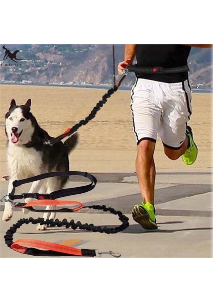 Köpekler Tasma Koşu Esneklik El Serbestçe Pet Ürünleri Köpekler Koşum Yaka Koşu Kurşun ve Ayarlanabilir Bel Ipi | Tasmalar (Yurt Dışından) fiyatları