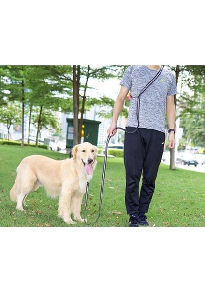Naylon Köpek Tasma Çok Fonksiyonlu Anti Kayma Yansıtıcı Köpek Dış Halatlar Için Yansıtma Yastıklı Kolları Pet Kayış Çekiş Tasma | Tasmalar (Yurt Dışından)