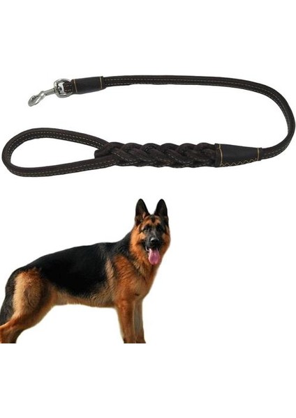Büyük Köpek Tasma Kısa Bir Adım Çekiş Halatı Örgülü Gerçek Deri Büyük Köpek Yürüyüş Tasmalar 80 cm Alman Çoban Köpekler Için Kurşun | Tasmalar (Yurt Dışından)