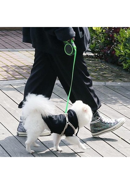 8 Metre Geri Çekilebilir Köpek Tasma Otomatik Esnek Köpek Yavru Çekiş Halat Kemer Köpek Tasma Küçük Orta Köpekler Için 50 kg Pet Malzemeleri | Tasmalar (Yurt Dışından)