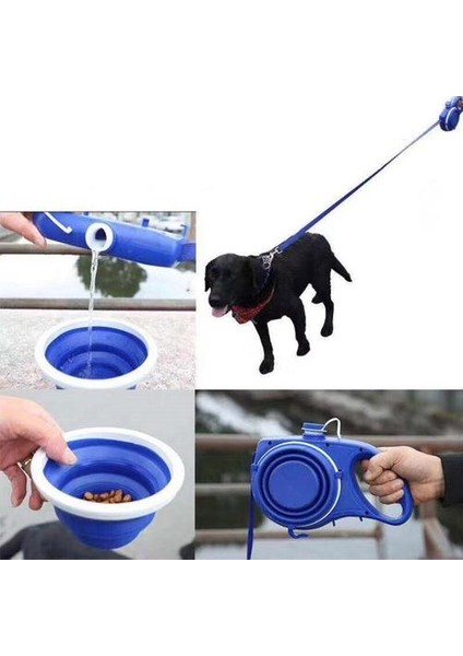 3 M Geri Çekilebilir Köpek Tasma ile Su Şişesi Uzanan Köpek Yavrusu Kedi Çekiş Halat Kemer Köpek Tasma Küçük Orta Köpekler Için Eller Ücretsiz | Tasmalar (Yurt Dışından) fiyatları