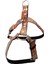 Köpek göğüs tasması orta ırk suni deri renkli H tipi genişlik:2,5cm göğüs ölçüsü:55-70cm boyun ölçüsü:45-60cm ayarlamalı dog harness GT1-11 2